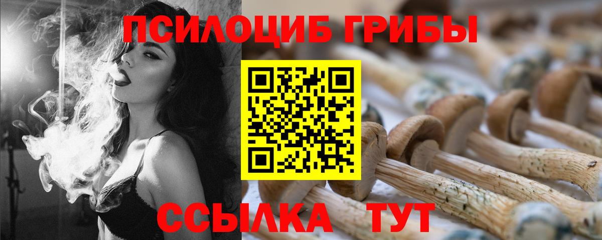 Псилоцибиновые грибы ЛСД Щёлково